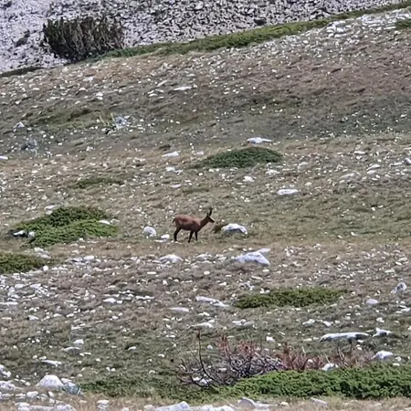 Il Nido Nel Borgo Bello شقة كارامانيكو تيرمي